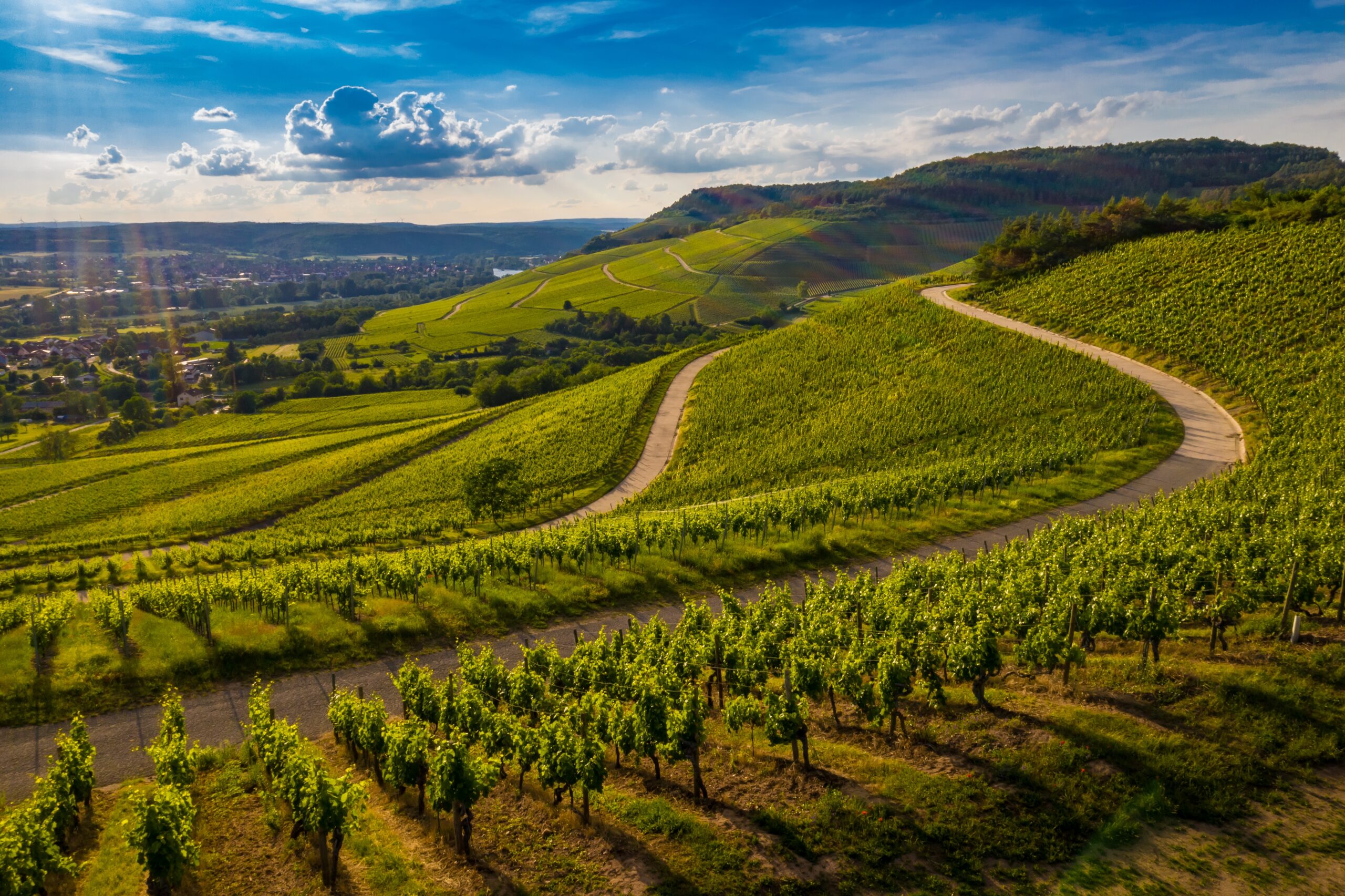 Vignoble de Bourgogne